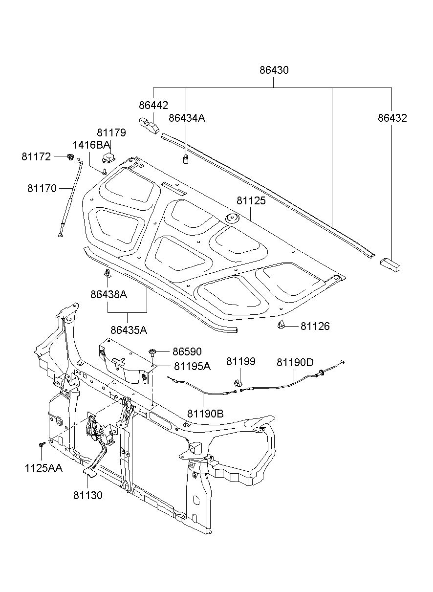 81195A