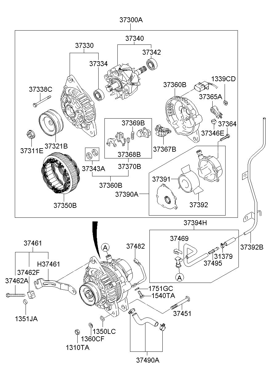 37461